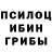Галлюциногенные грибы прущие грибы AD DeMonter