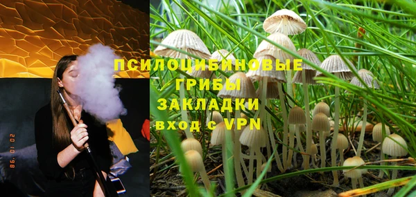 шишки Верхний Тагил