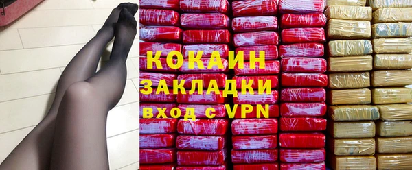 шишки Верхний Тагил