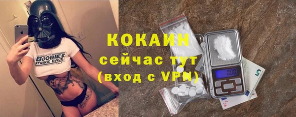шишки Верхний Тагил