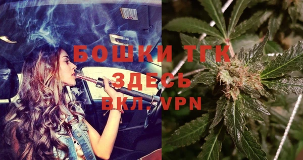 шишки Верхний Тагил