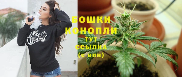 шишки Верхний Тагил