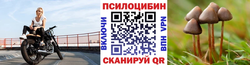купить наркотик  Рузаевка  Галлюциногенные грибы прущие грибы 